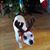Becky Williams Marcello's profile image