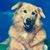 Pamela Skernivitz's profile image