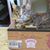 Susan Deaver's profile image