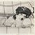 Jo Grossman's profile image