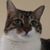 Mark Miller's profile image