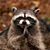 Jeff Decker's profile image