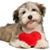 Jennifer Singleton's profile image