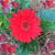 Marie B Mitchell's profile image