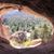 Sheri Bowar Mccormick's profile image