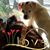 Denise Casad's profile image