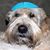 Lisa Jaye Shore's profile image
