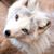 Carol Gembrowski- Coleman's profile image