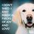 Diane Intino's profile image
