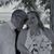 Tracy Hamsher's profile image