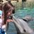 Jessica Lynn Honig's profile image