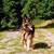 Linda Hazel's profile image