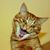 Deb Zikowsky's profile image