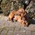 Shirley Unger's profile image