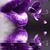 Tina Edwards's profile image