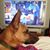 Kathleen Lonstein's profile image