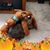 Deb Loppnow's profile image
