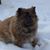 Janie Tate's profile image