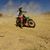 Williams Diaz Torricos's profile image