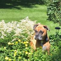 Karen Delgrosso's profile image