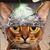 Tracy Weed's profile image