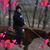 Jason Tate's profile image