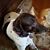 Nancy E. Hulse's profile image