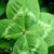 Debra Jean Banaszak's profile image