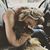 Brittani Ann's profile image
