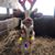 Tricia Pryce's profile image