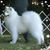 Karen Key's profile image