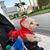 Tricia Franke-Cook's profile image