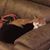 Elizabeth Miller's profile image