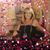 Debbie Purser Thomas's profile image