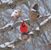 Barb Hayslip Donley's profile image