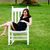 Daniela S.'s profile image
