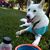 Jennifer Ipsen's profile image
