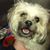 Debbie McFadden's profile image