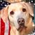 Bobbi Skillman Blakely's profile image