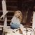 Charlotte Cranford's profile image