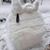 Karen Endicott Huston's profile image