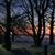 Diane Rizzo's profile image