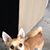 Sue Hayman Calloway's profile image