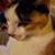 Mindi Beheydt's profile image