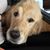 Suzon Laskey's profile image