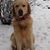 Lucy Prohor's profile image