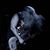 Justin Ennis's profile image