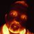 Joshua Martin's profile image
