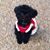 Judy Tiebout's profile image