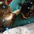 Michelle Cardosi's profile image